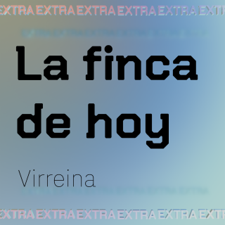 La finca de hoy, Virreina